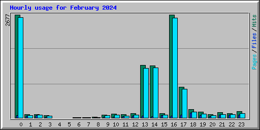 Hourly usage for February 2024