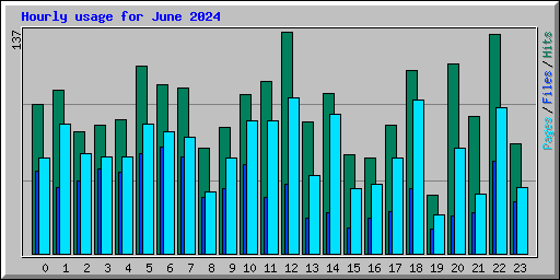 Hourly usage for June 2024
