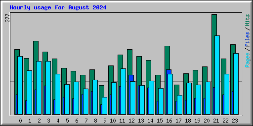 Hourly usage for August 2024