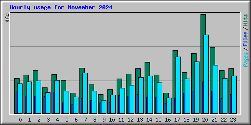 Hourly usage for November 2024