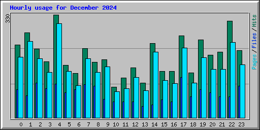 Hourly usage for December 2024