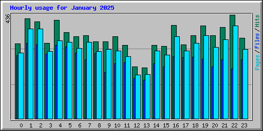 Hourly usage for January 2025