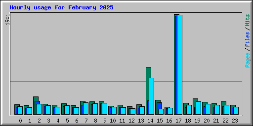 Hourly usage for February 2025