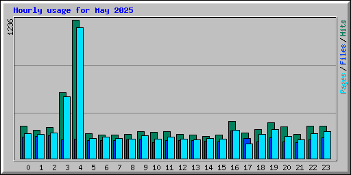 Hourly usage for May 2025